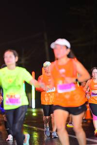 BIB: 
                            <button type="button" onclick="openModal(16560408)" class="btn btn-primary btn-sm float-right btn-popup" data-toggle="modal" data-target=".modal-high-quality">
                        <i class="fas fa-shopping-cart"></i> Add to Cart
                    </button>
                                            <button type="button" onclick="isThisMe(16560408, true)" class="btn btn-success btn-sm float-right btn-popup btn-isme hidden" data-toggle="tooltip" data-placement="bottom" title="นี่คือรูปของคุณใช่ไหม คลิกที่นี่เพื่อเอาเข้าอัลบั้ม">
                        <i class="fas fa-plus"></i> Add to album
                    </button>
                    <button type="button" onclick="isThisMe(16560408, false)" class="btn btn-warning btn-sm float-right btn-popup btn-isnotme hidden">
                        <i class="fas fa-ban"></i> Remove from album
                    </button>