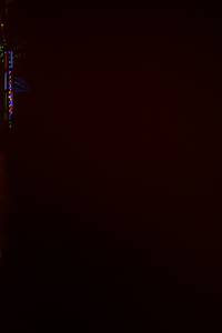 BIB: 
                            <button type="button" onclick="openModal(17647484)" class="btn btn-primary btn-sm float-right btn-popup" data-toggle="modal" data-target=".modal-high-quality">
                        <i class="fas fa-shopping-cart"></i> Add to Cart
                    </button>
                                            <button type="button" onclick="isThisMe(17647484, true)" class="btn btn-success btn-sm float-right btn-popup btn-isme hidden" data-toggle="tooltip" data-placement="bottom" title="นี่คือรูปของคุณใช่ไหม คลิกที่นี่เพื่อเอาเข้าอัลบั้ม">
                        <i class="fas fa-plus"></i> Add to album
                    </button>
                    <button type="button" onclick="isThisMe(17647484, false)" class="btn btn-warning btn-sm float-right btn-popup btn-isnotme hidden">
                        <i class="fas fa-ban"></i> Remove from album
                    </button>