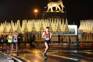 BIB: 
                            <button type="button" onclick="openModal(16444079)" class="btn btn-primary btn-sm float-right btn-popup" data-toggle="modal" data-target=".modal-high-quality">
                        <i class="fas fa-shopping-cart"></i> Add to Cart
                    </button>
                                            <button type="button" onclick="isThisMe(16444079, true)" class="btn btn-success btn-sm float-right btn-popup btn-isme hidden" data-toggle="tooltip" data-placement="bottom" title="นี่คือรูปของคุณใช่ไหม คลิกที่นี่เพื่อเอาเข้าอัลบั้ม">
                        <i class="fas fa-plus"></i> Add to album
                    </button>
                    <button type="button" onclick="isThisMe(16444079, false)" class="btn btn-warning btn-sm float-right btn-popup btn-isnotme hidden">
                        <i class="fas fa-ban"></i> Remove from album
                    </button>