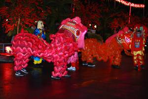 BIB: 
                            <button type="button" onclick="openModal(16088794)" class="btn btn-primary btn-sm float-right btn-popup" data-toggle="modal" data-target=".modal-high-quality">
                        <i class="fas fa-shopping-cart"></i> Add to Cart
                    </button>
                                            <button type="button" onclick="isThisMe(16088794, true)" class="btn btn-success btn-sm float-right btn-popup btn-isme hidden" data-toggle="tooltip" data-placement="bottom" title="นี่คือรูปของคุณใช่ไหม คลิกที่นี่เพื่อเอาเข้าอัลบั้ม">
                        <i class="fas fa-plus"></i> Add to album
                    </button>
                    <button type="button" onclick="isThisMe(16088794, false)" class="btn btn-warning btn-sm float-right btn-popup btn-isnotme hidden">
                        <i class="fas fa-ban"></i> Remove from album
                    </button>