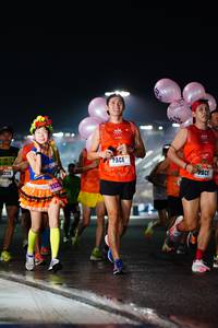 BIB: 326, 252
                            <button type="button" onclick="openModal(16092010)" class="btn btn-primary btn-sm float-right btn-popup" data-toggle="modal" data-target=".modal-high-quality">
                        <i class="fas fa-shopping-cart"></i> Add to Cart
                    </button>
                                            <button type="button" onclick="isThisMe(16092010, true)" class="btn btn-success btn-sm float-right btn-popup btn-isme hidden" data-toggle="tooltip" data-placement="bottom" title="นี่คือรูปของคุณใช่ไหม คลิกที่นี่เพื่อเอาเข้าอัลบั้ม">
                        <i class="fas fa-plus"></i> Add to album
                    </button>
                    <button type="button" onclick="isThisMe(16092010, false)" class="btn btn-warning btn-sm float-right btn-popup btn-isnotme hidden">
                        <i class="fas fa-ban"></i> Remove from album
                    </button>