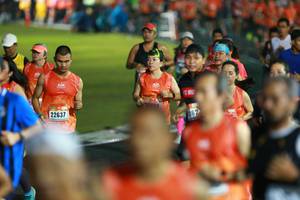 BIB: 22637
                            <button type="button" onclick="openModal(16675145)" class="btn btn-primary btn-sm float-right btn-popup" data-toggle="modal" data-target=".modal-high-quality">
                        <i class="fas fa-shopping-cart"></i> Add to Cart
                    </button>
                                            <button type="button" onclick="isThisMe(16675145, true)" class="btn btn-success btn-sm float-right btn-popup btn-isme hidden" data-toggle="tooltip" data-placement="bottom" title="นี่คือรูปของคุณใช่ไหม คลิกที่นี่เพื่อเอาเข้าอัลบั้ม">
                        <i class="fas fa-plus"></i> Add to album
                    </button>
                    <button type="button" onclick="isThisMe(16675145, false)" class="btn btn-warning btn-sm float-right btn-popup btn-isnotme hidden">
                        <i class="fas fa-ban"></i> Remove from album
                    </button>