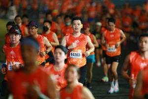 BIB: 
                            <button type="button" onclick="openModal(16685705)" class="btn btn-primary btn-sm float-right btn-popup" data-toggle="modal" data-target=".modal-high-quality">
                        <i class="fas fa-shopping-cart"></i> Add to Cart
                    </button>
                                            <button type="button" onclick="isThisMe(16685705, true)" class="btn btn-success btn-sm float-right btn-popup btn-isme hidden" data-toggle="tooltip" data-placement="bottom" title="นี่คือรูปของคุณใช่ไหม คลิกที่นี่เพื่อเอาเข้าอัลบั้ม">
                        <i class="fas fa-plus"></i> Add to album
                    </button>
                    <button type="button" onclick="isThisMe(16685705, false)" class="btn btn-warning btn-sm float-right btn-popup btn-isnotme hidden">
                        <i class="fas fa-ban"></i> Remove from album
                    </button>