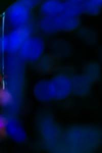 BIB: 
                            <button type="button" onclick="openModal(17398661)" class="btn btn-primary btn-sm float-right btn-popup" data-toggle="modal" data-target=".modal-high-quality">
                        <i class="fas fa-shopping-cart"></i> Add to Cart
                    </button>
                                            <button type="button" onclick="isThisMe(17398661, true)" class="btn btn-success btn-sm float-right btn-popup btn-isme hidden" data-toggle="tooltip" data-placement="bottom" title="นี่คือรูปของคุณใช่ไหม คลิกที่นี่เพื่อเอาเข้าอัลบั้ม">
                        <i class="fas fa-plus"></i> Add to album
                    </button>
                    <button type="button" onclick="isThisMe(17398661, false)" class="btn btn-warning btn-sm float-right btn-popup btn-isnotme hidden">
                        <i class="fas fa-ban"></i> Remove from album
                    </button>