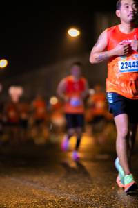 BIB: 22443
                            <button type="button" onclick="openModal(17405665)" class="btn btn-primary btn-sm float-right btn-popup" data-toggle="modal" data-target=".modal-high-quality">
                        <i class="fas fa-shopping-cart"></i> Add to Cart
                    </button>
                                            <button type="button" onclick="isThisMe(17405665, true)" class="btn btn-success btn-sm float-right btn-popup btn-isme hidden" data-toggle="tooltip" data-placement="bottom" title="นี่คือรูปของคุณใช่ไหม คลิกที่นี่เพื่อเอาเข้าอัลบั้ม">
                        <i class="fas fa-plus"></i> Add to album
                    </button>
                    <button type="button" onclick="isThisMe(17405665, false)" class="btn btn-warning btn-sm float-right btn-popup btn-isnotme hidden">
                        <i class="fas fa-ban"></i> Remove from album
                    </button>