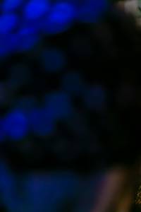 BIB: 
                            <button type="button" onclick="openModal(17398688)" class="btn btn-primary btn-sm float-right btn-popup" data-toggle="modal" data-target=".modal-high-quality">
                        <i class="fas fa-shopping-cart"></i> Add to Cart
                    </button>
                                            <button type="button" onclick="isThisMe(17398688, true)" class="btn btn-success btn-sm float-right btn-popup btn-isme hidden" data-toggle="tooltip" data-placement="bottom" title="นี่คือรูปของคุณใช่ไหม คลิกที่นี่เพื่อเอาเข้าอัลบั้ม">
                        <i class="fas fa-plus"></i> Add to album
                    </button>
                    <button type="button" onclick="isThisMe(17398688, false)" class="btn btn-warning btn-sm float-right btn-popup btn-isnotme hidden">
                        <i class="fas fa-ban"></i> Remove from album
                    </button>