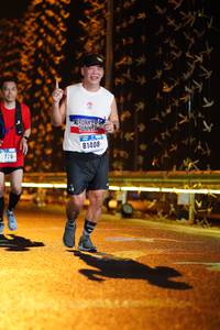 BIB: 81408, 776
                            <button type="button" onclick="openModal(16322764)" class="btn btn-primary btn-sm float-right btn-popup" data-toggle="modal" data-target=".modal-high-quality">
                        <i class="fas fa-shopping-cart"></i> Add to Cart
                    </button>
                                            <button type="button" onclick="isThisMe(16322764, true)" class="btn btn-success btn-sm float-right btn-popup btn-isme hidden" data-toggle="tooltip" data-placement="bottom" title="นี่คือรูปของคุณใช่ไหม คลิกที่นี่เพื่อเอาเข้าอัลบั้ม">
                        <i class="fas fa-plus"></i> Add to album
                    </button>
                    <button type="button" onclick="isThisMe(16322764, false)" class="btn btn-warning btn-sm float-right btn-popup btn-isnotme hidden">
                        <i class="fas fa-ban"></i> Remove from album
                    </button>