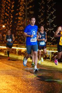 BIB: 40432, 41912
                            <button type="button" onclick="openModal(16181562)" class="btn btn-primary btn-sm float-right btn-popup" data-toggle="modal" data-target=".modal-high-quality">
                        <i class="fas fa-shopping-cart"></i> Add to Cart
                    </button>
                                            <button type="button" onclick="isThisMe(16181562, true)" class="btn btn-success btn-sm float-right btn-popup btn-isme hidden" data-toggle="tooltip" data-placement="bottom" title="นี่คือรูปของคุณใช่ไหม คลิกที่นี่เพื่อเอาเข้าอัลบั้ม">
                        <i class="fas fa-plus"></i> Add to album
                    </button>
                    <button type="button" onclick="isThisMe(16181562, false)" class="btn btn-warning btn-sm float-right btn-popup btn-isnotme hidden">
                        <i class="fas fa-ban"></i> Remove from album
                    </button>