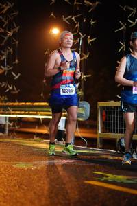 BIB: 42365
                            <button type="button" onclick="openModal(16310993)" class="btn btn-primary btn-sm float-right btn-popup" data-toggle="modal" data-target=".modal-high-quality">
                        <i class="fas fa-shopping-cart"></i> Add to Cart
                    </button>
                                            <button type="button" onclick="isThisMe(16310993, true)" class="btn btn-success btn-sm float-right btn-popup btn-isme hidden" data-toggle="tooltip" data-placement="bottom" title="นี่คือรูปของคุณใช่ไหม คลิกที่นี่เพื่อเอาเข้าอัลบั้ม">
                        <i class="fas fa-plus"></i> Add to album
                    </button>
                    <button type="button" onclick="isThisMe(16310993, false)" class="btn btn-warning btn-sm float-right btn-popup btn-isnotme hidden">
                        <i class="fas fa-ban"></i> Remove from album
                    </button>