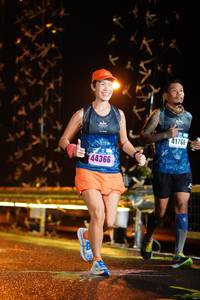 BIB: 41766, 44366
                            <button type="button" onclick="openModal(16238840)" class="btn btn-primary btn-sm float-right btn-popup" data-toggle="modal" data-target=".modal-high-quality">
                        <i class="fas fa-shopping-cart"></i> Add to Cart
                    </button>
                                            <button type="button" onclick="isThisMe(16238840, true)" class="btn btn-success btn-sm float-right btn-popup btn-isme hidden" data-toggle="tooltip" data-placement="bottom" title="นี่คือรูปของคุณใช่ไหม คลิกที่นี่เพื่อเอาเข้าอัลบั้ม">
                        <i class="fas fa-plus"></i> Add to album
                    </button>
                    <button type="button" onclick="isThisMe(16238840, false)" class="btn btn-warning btn-sm float-right btn-popup btn-isnotme hidden">
                        <i class="fas fa-ban"></i> Remove from album
                    </button>