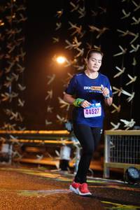 BIB: 44527
                            <button type="button" onclick="openModal(16325732)" class="btn btn-primary btn-sm float-right btn-popup" data-toggle="modal" data-target=".modal-high-quality">
                        <i class="fas fa-shopping-cart"></i> Add to Cart
                    </button>
                                            <button type="button" onclick="isThisMe(16325732, true)" class="btn btn-success btn-sm float-right btn-popup btn-isme hidden" data-toggle="tooltip" data-placement="bottom" title="นี่คือรูปของคุณใช่ไหม คลิกที่นี่เพื่อเอาเข้าอัลบั้ม">
                        <i class="fas fa-plus"></i> Add to album
                    </button>
                    <button type="button" onclick="isThisMe(16325732, false)" class="btn btn-warning btn-sm float-right btn-popup btn-isnotme hidden">
                        <i class="fas fa-ban"></i> Remove from album
                    </button>