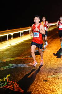 BIB: 41005
                            <button type="button" onclick="openModal(16241743)" class="btn btn-primary btn-sm float-right btn-popup" data-toggle="modal" data-target=".modal-high-quality">
                        <i class="fas fa-shopping-cart"></i> Add to Cart
                    </button>
                                            <button type="button" onclick="isThisMe(16241743, true)" class="btn btn-success btn-sm float-right btn-popup btn-isme hidden" data-toggle="tooltip" data-placement="bottom" title="นี่คือรูปของคุณใช่ไหม คลิกที่นี่เพื่อเอาเข้าอัลบั้ม">
                        <i class="fas fa-plus"></i> Add to album
                    </button>
                    <button type="button" onclick="isThisMe(16241743, false)" class="btn btn-warning btn-sm float-right btn-popup btn-isnotme hidden">
                        <i class="fas fa-ban"></i> Remove from album
                    </button>