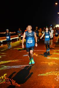 BIB: 43067
                            <button type="button" onclick="openModal(16523013)" class="btn btn-primary btn-sm float-right btn-popup" data-toggle="modal" data-target=".modal-high-quality">
                        <i class="fas fa-shopping-cart"></i> Add to Cart
                    </button>
                                            <button type="button" onclick="isThisMe(16523013, true)" class="btn btn-success btn-sm float-right btn-popup btn-isme hidden" data-toggle="tooltip" data-placement="bottom" title="นี่คือรูปของคุณใช่ไหม คลิกที่นี่เพื่อเอาเข้าอัลบั้ม">
                        <i class="fas fa-plus"></i> Add to album
                    </button>
                    <button type="button" onclick="isThisMe(16523013, false)" class="btn btn-warning btn-sm float-right btn-popup btn-isnotme hidden">
                        <i class="fas fa-ban"></i> Remove from album
                    </button>