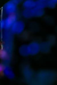 BIB: 
                            <button type="button" onclick="openModal(17945440)" class="btn btn-primary btn-sm float-right btn-popup" data-toggle="modal" data-target=".modal-high-quality">
                        <i class="fas fa-shopping-cart"></i> Add to Cart
                    </button>
                                            <button type="button" onclick="isThisMe(17945440, true)" class="btn btn-success btn-sm float-right btn-popup btn-isme hidden" data-toggle="tooltip" data-placement="bottom" title="นี่คือรูปของคุณใช่ไหม คลิกที่นี่เพื่อเอาเข้าอัลบั้ม">
                        <i class="fas fa-plus"></i> Add to album
                    </button>
                    <button type="button" onclick="isThisMe(17945440, false)" class="btn btn-warning btn-sm float-right btn-popup btn-isnotme hidden">
                        <i class="fas fa-ban"></i> Remove from album
                    </button>