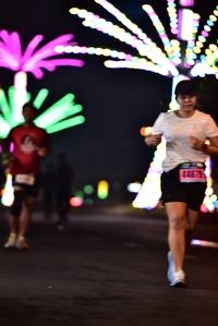 BIB: 
                            <button type="button" onclick="openModal(17769118)" class="btn btn-primary btn-sm float-right btn-popup" data-toggle="modal" data-target=".modal-high-quality">
                        <i class="fas fa-shopping-cart"></i> Add to Cart
                    </button>
                                            <button type="button" onclick="isThisMe(17769118, true)" class="btn btn-success btn-sm float-right btn-popup btn-isme hidden" data-toggle="tooltip" data-placement="bottom" title="นี่คือรูปของคุณใช่ไหม คลิกที่นี่เพื่อเอาเข้าอัลบั้ม">
                        <i class="fas fa-plus"></i> Add to album
                    </button>
                    <button type="button" onclick="isThisMe(17769118, false)" class="btn btn-warning btn-sm float-right btn-popup btn-isnotme hidden">
                        <i class="fas fa-ban"></i> Remove from album
                    </button>