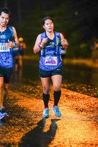 BIB: 440, 34425
                            <button type="button" onclick="openModal(18072794)" class="btn btn-primary btn-sm float-right btn-popup" data-toggle="modal" data-target=".modal-high-quality">
                        <i class="fas fa-shopping-cart"></i> Add to Cart
                    </button>
                                            <button type="button" onclick="isThisMe(18072794, true)" class="btn btn-success btn-sm float-right btn-popup btn-isme hidden" data-toggle="tooltip" data-placement="bottom" title="นี่คือรูปของคุณใช่ไหม คลิกที่นี่เพื่อเอาเข้าอัลบั้ม">
                        <i class="fas fa-plus"></i> Add to album
                    </button>
                    <button type="button" onclick="isThisMe(18072794, false)" class="btn btn-warning btn-sm float-right btn-popup btn-isnotme hidden">
                        <i class="fas fa-ban"></i> Remove from album
                    </button>