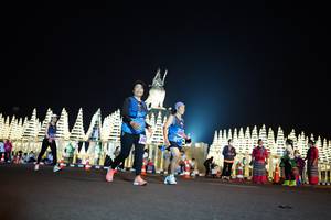 BIB: 
                            <button type="button" onclick="openModal(17341252)" class="btn btn-primary btn-sm float-right btn-popup" data-toggle="modal" data-target=".modal-high-quality">
                        <i class="fas fa-shopping-cart"></i> Add to Cart
                    </button>
                                            <button type="button" onclick="isThisMe(17341252, true)" class="btn btn-success btn-sm float-right btn-popup btn-isme hidden" data-toggle="tooltip" data-placement="bottom" title="นี่คือรูปของคุณใช่ไหม คลิกที่นี่เพื่อเอาเข้าอัลบั้ม">
                        <i class="fas fa-plus"></i> Add to album
                    </button>
                    <button type="button" onclick="isThisMe(17341252, false)" class="btn btn-warning btn-sm float-right btn-popup btn-isnotme hidden">
                        <i class="fas fa-ban"></i> Remove from album
                    </button>