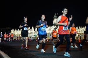 BIB: 42392, 42855, 41237
                            <button type="button" onclick="openModal(17041101)" class="btn btn-primary btn-sm float-right btn-popup" data-toggle="modal" data-target=".modal-high-quality">
                        <i class="fas fa-shopping-cart"></i> Add to Cart
                    </button>
                                            <button type="button" onclick="isThisMe(17041101, true)" class="btn btn-success btn-sm float-right btn-popup btn-isme hidden" data-toggle="tooltip" data-placement="bottom" title="นี่คือรูปของคุณใช่ไหม คลิกที่นี่เพื่อเอาเข้าอัลบั้ม">
                        <i class="fas fa-plus"></i> Add to album
                    </button>
                    <button type="button" onclick="isThisMe(17041101, false)" class="btn btn-warning btn-sm float-right btn-popup btn-isnotme hidden">
                        <i class="fas fa-ban"></i> Remove from album
                    </button>