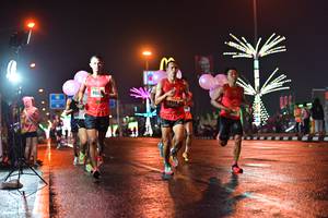 BIB: 
                            <button type="button" onclick="openModal(17516150)" class="btn btn-primary btn-sm float-right btn-popup" data-toggle="modal" data-target=".modal-high-quality">
                        <i class="fas fa-shopping-cart"></i> Add to Cart
                    </button>
                                            <button type="button" onclick="isThisMe(17516150, true)" class="btn btn-success btn-sm float-right btn-popup btn-isme hidden" data-toggle="tooltip" data-placement="bottom" title="นี่คือรูปของคุณใช่ไหม คลิกที่นี่เพื่อเอาเข้าอัลบั้ม">
                        <i class="fas fa-plus"></i> Add to album
                    </button>
                    <button type="button" onclick="isThisMe(17516150, false)" class="btn btn-warning btn-sm float-right btn-popup btn-isnotme hidden">
                        <i class="fas fa-ban"></i> Remove from album
                    </button>