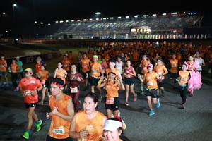 BIB: 70204, 2018
                            <button type="button" onclick="openModal(20885378)" class="btn btn-primary btn-sm float-right btn-popup" data-toggle="modal" data-target=".modal-high-quality">
                        <i class="fas fa-shopping-cart"></i> Add to Cart
                    </button>
                                            <button type="button" onclick="isThisMe(20885378, true)" class="btn btn-success btn-sm float-right btn-popup btn-isme hidden" data-toggle="tooltip" data-placement="bottom" title="นี่คือรูปของคุณใช่ไหม คลิกที่นี่เพื่อเอาเข้าอัลบั้ม">
                        <i class="fas fa-plus"></i> Add to album
                    </button>
                    <button type="button" onclick="isThisMe(20885378, false)" class="btn btn-warning btn-sm float-right btn-popup btn-isnotme hidden">
                        <i class="fas fa-ban"></i> Remove from album
                    </button>