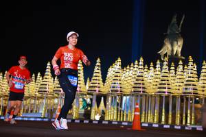 BIB: 2409
                            <button type="button" onclick="openModal(21539660)" class="btn btn-primary btn-sm float-right btn-popup" data-toggle="modal" data-target=".modal-high-quality">
                        <i class="fas fa-shopping-cart"></i> Add to Cart
                    </button>
                                            <button type="button" onclick="isThisMe(21539660, true)" class="btn btn-success btn-sm float-right btn-popup btn-isme hidden" data-toggle="tooltip" data-placement="bottom" title="นี่คือรูปของคุณใช่ไหม คลิกที่นี่เพื่อเอาเข้าอัลบั้ม">
                        <i class="fas fa-plus"></i> Add to album
                    </button>
                    <button type="button" onclick="isThisMe(21539660, false)" class="btn btn-warning btn-sm float-right btn-popup btn-isnotme hidden">
                        <i class="fas fa-ban"></i> Remove from album
                    </button>