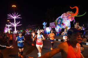BIB: 41260, 2013, 24858
                            <button type="button" onclick="openModal(21399799)" class="btn btn-primary btn-sm float-right btn-popup" data-toggle="modal" data-target=".modal-high-quality">
                        <i class="fas fa-shopping-cart"></i> Add to Cart
                    </button>
                                            <button type="button" onclick="isThisMe(21399799, true)" class="btn btn-success btn-sm float-right btn-popup btn-isme hidden" data-toggle="tooltip" data-placement="bottom" title="นี่คือรูปของคุณใช่ไหม คลิกที่นี่เพื่อเอาเข้าอัลบั้ม">
                        <i class="fas fa-plus"></i> Add to album
                    </button>
                    <button type="button" onclick="isThisMe(21399799, false)" class="btn btn-warning btn-sm float-right btn-popup btn-isnotme hidden">
                        <i class="fas fa-ban"></i> Remove from album
                    </button>