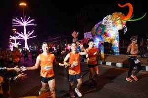 BIB: 20706, 2220, 20513
                            <button type="button" onclick="openModal(21428183)" class="btn btn-primary btn-sm float-right btn-popup" data-toggle="modal" data-target=".modal-high-quality">
                        <i class="fas fa-shopping-cart"></i> Add to Cart
                    </button>
                                            <button type="button" onclick="isThisMe(21428183, true)" class="btn btn-success btn-sm float-right btn-popup btn-isme hidden" data-toggle="tooltip" data-placement="bottom" title="นี่คือรูปของคุณใช่ไหม คลิกที่นี่เพื่อเอาเข้าอัลบั้ม">
                        <i class="fas fa-plus"></i> Add to album
                    </button>
                    <button type="button" onclick="isThisMe(21428183, false)" class="btn btn-warning btn-sm float-right btn-popup btn-isnotme hidden">
                        <i class="fas fa-ban"></i> Remove from album
                    </button>