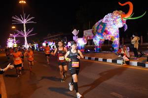 BIB: 26213
                            <button type="button" onclick="openModal(21399032)" class="btn btn-primary btn-sm float-right btn-popup" data-toggle="modal" data-target=".modal-high-quality">
                        <i class="fas fa-shopping-cart"></i> Add to Cart
                    </button>
                                            <button type="button" onclick="isThisMe(21399032, true)" class="btn btn-success btn-sm float-right btn-popup btn-isme hidden" data-toggle="tooltip" data-placement="bottom" title="นี่คือรูปของคุณใช่ไหม คลิกที่นี่เพื่อเอาเข้าอัลบั้ม">
                        <i class="fas fa-plus"></i> Add to album
                    </button>
                    <button type="button" onclick="isThisMe(21399032, false)" class="btn btn-warning btn-sm float-right btn-popup btn-isnotme hidden">
                        <i class="fas fa-ban"></i> Remove from album
                    </button>