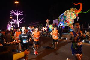 BIB: 42149, 2024
                            <button type="button" onclick="openModal(21410040)" class="btn btn-primary btn-sm float-right btn-popup" data-toggle="modal" data-target=".modal-high-quality">
                        <i class="fas fa-shopping-cart"></i> Add to Cart
                    </button>
                                            <button type="button" onclick="isThisMe(21410040, true)" class="btn btn-success btn-sm float-right btn-popup btn-isme hidden" data-toggle="tooltip" data-placement="bottom" title="นี่คือรูปของคุณใช่ไหม คลิกที่นี่เพื่อเอาเข้าอัลบั้ม">
                        <i class="fas fa-plus"></i> Add to album
                    </button>
                    <button type="button" onclick="isThisMe(21410040, false)" class="btn btn-warning btn-sm float-right btn-popup btn-isnotme hidden">
                        <i class="fas fa-ban"></i> Remove from album
                    </button>
