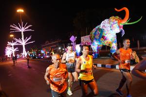 BIB: 20086, 25477, 27134, 220
                            <button type="button" onclick="openModal(21386961)" class="btn btn-primary btn-sm float-right btn-popup" data-toggle="modal" data-target=".modal-high-quality">
                        <i class="fas fa-shopping-cart"></i> Add to Cart
                    </button>
                                            <button type="button" onclick="isThisMe(21386961, true)" class="btn btn-success btn-sm float-right btn-popup btn-isme hidden" data-toggle="tooltip" data-placement="bottom" title="นี่คือรูปของคุณใช่ไหม คลิกที่นี่เพื่อเอาเข้าอัลบั้ม">
                        <i class="fas fa-plus"></i> Add to album
                    </button>
                    <button type="button" onclick="isThisMe(21386961, false)" class="btn btn-warning btn-sm float-right btn-popup btn-isnotme hidden">
                        <i class="fas fa-ban"></i> Remove from album
                    </button>