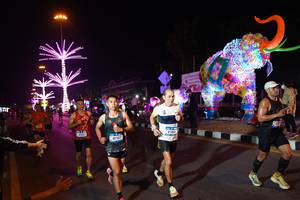 BIB: 40663, 40767, 87404
                            <button type="button" onclick="openModal(21388543)" class="btn btn-primary btn-sm float-right btn-popup" data-toggle="modal" data-target=".modal-high-quality">
                        <i class="fas fa-shopping-cart"></i> Add to Cart
                    </button>
                                            <button type="button" onclick="isThisMe(21388543, true)" class="btn btn-success btn-sm float-right btn-popup btn-isme hidden" data-toggle="tooltip" data-placement="bottom" title="นี่คือรูปของคุณใช่ไหม คลิกที่นี่เพื่อเอาเข้าอัลบั้ม">
                        <i class="fas fa-plus"></i> Add to album
                    </button>
                    <button type="button" onclick="isThisMe(21388543, false)" class="btn btn-warning btn-sm float-right btn-popup btn-isnotme hidden">
                        <i class="fas fa-ban"></i> Remove from album
                    </button>