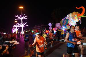 BIB: 21018, 42031, 66268
                            <button type="button" onclick="openModal(21422027)" class="btn btn-primary btn-sm float-right btn-popup" data-toggle="modal" data-target=".modal-high-quality">
                        <i class="fas fa-shopping-cart"></i> Add to Cart
                    </button>
                                            <button type="button" onclick="isThisMe(21422027, true)" class="btn btn-success btn-sm float-right btn-popup btn-isme hidden" data-toggle="tooltip" data-placement="bottom" title="นี่คือรูปของคุณใช่ไหม คลิกที่นี่เพื่อเอาเข้าอัลบั้ม">
                        <i class="fas fa-plus"></i> Add to album
                    </button>
                    <button type="button" onclick="isThisMe(21422027, false)" class="btn btn-warning btn-sm float-right btn-popup btn-isnotme hidden">
                        <i class="fas fa-ban"></i> Remove from album
                    </button>