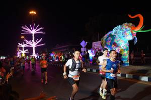 BIB: 777545, 417
                            <button type="button" onclick="openModal(21418542)" class="btn btn-primary btn-sm float-right btn-popup" data-toggle="modal" data-target=".modal-high-quality">
                        <i class="fas fa-shopping-cart"></i> Add to Cart
                    </button>
                                            <button type="button" onclick="isThisMe(21418542, true)" class="btn btn-success btn-sm float-right btn-popup btn-isme hidden" data-toggle="tooltip" data-placement="bottom" title="นี่คือรูปของคุณใช่ไหม คลิกที่นี่เพื่อเอาเข้าอัลบั้ม">
                        <i class="fas fa-plus"></i> Add to album
                    </button>
                    <button type="button" onclick="isThisMe(21418542, false)" class="btn btn-warning btn-sm float-right btn-popup btn-isnotme hidden">
                        <i class="fas fa-ban"></i> Remove from album
                    </button>