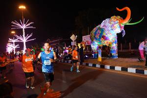 BIB: 24200, 114, 42515
                            <button type="button" onclick="openModal(21429539)" class="btn btn-primary btn-sm float-right btn-popup" data-toggle="modal" data-target=".modal-high-quality">
                        <i class="fas fa-shopping-cart"></i> Add to Cart
                    </button>
                                            <button type="button" onclick="isThisMe(21429539, true)" class="btn btn-success btn-sm float-right btn-popup btn-isme hidden" data-toggle="tooltip" data-placement="bottom" title="นี่คือรูปของคุณใช่ไหม คลิกที่นี่เพื่อเอาเข้าอัลบั้ม">
                        <i class="fas fa-plus"></i> Add to album
                    </button>
                    <button type="button" onclick="isThisMe(21429539, false)" class="btn btn-warning btn-sm float-right btn-popup btn-isnotme hidden">
                        <i class="fas fa-ban"></i> Remove from album
                    </button>