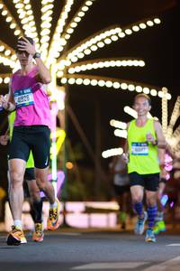 BIB: 41526, 0047
                            <button type="button" onclick="openModal(20919241)" class="btn btn-primary btn-sm float-right btn-popup" data-toggle="modal" data-target=".modal-high-quality">
                        <i class="fas fa-shopping-cart"></i> Add to Cart
                    </button>
                                            <button type="button" onclick="isThisMe(20919241, true)" class="btn btn-success btn-sm float-right btn-popup btn-isme hidden" data-toggle="tooltip" data-placement="bottom" title="นี่คือรูปของคุณใช่ไหม คลิกที่นี่เพื่อเอาเข้าอัลบั้ม">
                        <i class="fas fa-plus"></i> Add to album
                    </button>
                    <button type="button" onclick="isThisMe(20919241, false)" class="btn btn-warning btn-sm float-right btn-popup btn-isnotme hidden">
                        <i class="fas fa-ban"></i> Remove from album
                    </button>