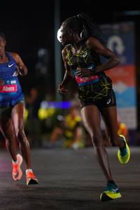 BIB: 
                            <button type="button" onclick="openModal(19766091)" class="btn btn-primary btn-sm float-right btn-popup" data-toggle="modal" data-target=".modal-high-quality">
                        <i class="fas fa-shopping-cart"></i> Add to Cart
                    </button>
                                            <button type="button" onclick="isThisMe(19766091, true)" class="btn btn-success btn-sm float-right btn-popup btn-isme hidden" data-toggle="tooltip" data-placement="bottom" title="นี่คือรูปของคุณใช่ไหม คลิกที่นี่เพื่อเอาเข้าอัลบั้ม">
                        <i class="fas fa-plus"></i> Add to album
                    </button>
                    <button type="button" onclick="isThisMe(19766091, false)" class="btn btn-warning btn-sm float-right btn-popup btn-isnotme hidden">
                        <i class="fas fa-ban"></i> Remove from album
                    </button>