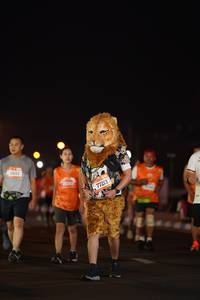 BIB: 24193, 25358, 77213
                            <button type="button" onclick="openModal(21435593)" class="btn btn-primary btn-sm float-right btn-popup" data-toggle="modal" data-target=".modal-high-quality">
                        <i class="fas fa-shopping-cart"></i> Add to Cart
                    </button>
                                            <button type="button" onclick="isThisMe(21435593, true)" class="btn btn-success btn-sm float-right btn-popup btn-isme hidden" data-toggle="tooltip" data-placement="bottom" title="นี่คือรูปของคุณใช่ไหม คลิกที่นี่เพื่อเอาเข้าอัลบั้ม">
                        <i class="fas fa-plus"></i> Add to album
                    </button>
                    <button type="button" onclick="isThisMe(21435593, false)" class="btn btn-warning btn-sm float-right btn-popup btn-isnotme hidden">
                        <i class="fas fa-ban"></i> Remove from album
                    </button>