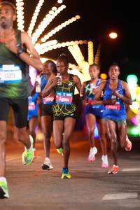 BIB: 029
                            <button type="button" onclick="openModal(20667988)" class="btn btn-primary btn-sm float-right btn-popup" data-toggle="modal" data-target=".modal-high-quality">
                        <i class="fas fa-shopping-cart"></i> Add to Cart
                    </button>
                                            <button type="button" onclick="isThisMe(20667988, true)" class="btn btn-success btn-sm float-right btn-popup btn-isme hidden" data-toggle="tooltip" data-placement="bottom" title="นี่คือรูปของคุณใช่ไหม คลิกที่นี่เพื่อเอาเข้าอัลบั้ม">
                        <i class="fas fa-plus"></i> Add to album
                    </button>
                    <button type="button" onclick="isThisMe(20667988, false)" class="btn btn-warning btn-sm float-right btn-popup btn-isnotme hidden">
                        <i class="fas fa-ban"></i> Remove from album
                    </button>