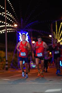 BIB: 42047
                            <button type="button" onclick="openModal(20021839)" class="btn btn-primary btn-sm float-right btn-popup" data-toggle="modal" data-target=".modal-high-quality">
                        <i class="fas fa-shopping-cart"></i> Add to Cart
                    </button>
                                            <button type="button" onclick="isThisMe(20021839, true)" class="btn btn-success btn-sm float-right btn-popup btn-isme hidden" data-toggle="tooltip" data-placement="bottom" title="นี่คือรูปของคุณใช่ไหม คลิกที่นี่เพื่อเอาเข้าอัลบั้ม">
                        <i class="fas fa-plus"></i> Add to album
                    </button>
                    <button type="button" onclick="isThisMe(20021839, false)" class="btn btn-warning btn-sm float-right btn-popup btn-isnotme hidden">
                        <i class="fas fa-ban"></i> Remove from album
                    </button>