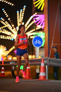 BIB: 
                            <button type="button" onclick="openModal(24300807)" class="btn btn-primary btn-sm float-right btn-popup" data-toggle="modal" data-target=".modal-high-quality">
                        <i class="fas fa-shopping-cart"></i> Add to Cart
                    </button>
                                            <button type="button" onclick="isThisMe(24300807, true)" class="btn btn-success btn-sm float-right btn-popup btn-isme hidden" data-toggle="tooltip" data-placement="bottom" title="นี่คือรูปของคุณใช่ไหม คลิกที่นี่เพื่อเอาเข้าอัลบั้ม">
                        <i class="fas fa-plus"></i> Add to album
                    </button>
                    <button type="button" onclick="isThisMe(24300807, false)" class="btn btn-warning btn-sm float-right btn-popup btn-isnotme hidden">
                        <i class="fas fa-ban"></i> Remove from album
                    </button>