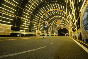 BIB: 1970
                            <button type="button" onclick="openModal(22811131)" class="btn btn-primary btn-sm float-right btn-popup" data-toggle="modal" data-target=".modal-high-quality">
                        <i class="fas fa-shopping-cart"></i> Add to Cart
                    </button>
                                            <button type="button" onclick="isThisMe(22811131, true)" class="btn btn-success btn-sm float-right btn-popup btn-isme hidden" data-toggle="tooltip" data-placement="bottom" title="นี่คือรูปของคุณใช่ไหม คลิกที่นี่เพื่อเอาเข้าอัลบั้ม">
                        <i class="fas fa-plus"></i> Add to album
                    </button>
                    <button type="button" onclick="isThisMe(22811131, false)" class="btn btn-warning btn-sm float-right btn-popup btn-isnotme hidden">
                        <i class="fas fa-ban"></i> Remove from album
                    </button>