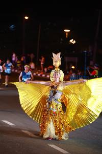 BIB: 
                            <button type="button" onclick="openModal(24169622)" class="btn btn-primary btn-sm float-right btn-popup" data-toggle="modal" data-target=".modal-high-quality">
                        <i class="fas fa-shopping-cart"></i> Add to Cart
                    </button>
                                            <button type="button" onclick="isThisMe(24169622, true)" class="btn btn-success btn-sm float-right btn-popup btn-isme hidden" data-toggle="tooltip" data-placement="bottom" title="นี่คือรูปของคุณใช่ไหม คลิกที่นี่เพื่อเอาเข้าอัลบั้ม">
                        <i class="fas fa-plus"></i> Add to album
                    </button>
                    <button type="button" onclick="isThisMe(24169622, false)" class="btn btn-warning btn-sm float-right btn-popup btn-isnotme hidden">
                        <i class="fas fa-ban"></i> Remove from album
                    </button>