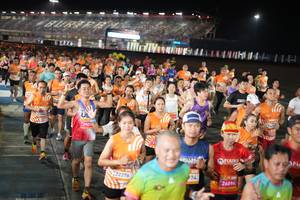 BIB: 2160, 2907, 22276, 974, 26896
                            <button type="button" onclick="openModal(23140522)" class="btn btn-primary btn-sm float-right btn-popup" data-toggle="modal" data-target=".modal-high-quality">
                        <i class="fas fa-shopping-cart"></i> Add to Cart
                    </button>
                                            <button type="button" onclick="isThisMe(23140522, true)" class="btn btn-success btn-sm float-right btn-popup btn-isme hidden" data-toggle="tooltip" data-placement="bottom" title="นี่คือรูปของคุณใช่ไหม คลิกที่นี่เพื่อเอาเข้าอัลบั้ม">
                        <i class="fas fa-plus"></i> Add to album
                    </button>
                    <button type="button" onclick="isThisMe(23140522, false)" class="btn btn-warning btn-sm float-right btn-popup btn-isnotme hidden">
                        <i class="fas fa-ban"></i> Remove from album
                    </button>