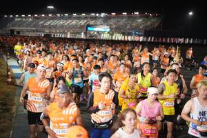 BIB: 24709, 21352, 26315, 21368, 26145, 27128, 25055, 2314
                            <button type="button" onclick="openModal(23220123)" class="btn btn-primary btn-sm float-right btn-popup" data-toggle="modal" data-target=".modal-high-quality">
                        <i class="fas fa-shopping-cart"></i> Add to Cart
                    </button>
                                            <button type="button" onclick="isThisMe(23220123, true)" class="btn btn-success btn-sm float-right btn-popup btn-isme hidden" data-toggle="tooltip" data-placement="bottom" title="นี่คือรูปของคุณใช่ไหม คลิกที่นี่เพื่อเอาเข้าอัลบั้ม">
                        <i class="fas fa-plus"></i> Add to album
                    </button>
                    <button type="button" onclick="isThisMe(23220123, false)" class="btn btn-warning btn-sm float-right btn-popup btn-isnotme hidden">
                        <i class="fas fa-ban"></i> Remove from album
                    </button>