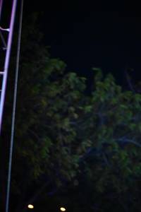 BIB: 
                            <button type="button" onclick="openModal(24408139)" class="btn btn-primary btn-sm float-right btn-popup" data-toggle="modal" data-target=".modal-high-quality">
                        <i class="fas fa-shopping-cart"></i> Add to Cart
                    </button>
                                            <button type="button" onclick="isThisMe(24408139, true)" class="btn btn-success btn-sm float-right btn-popup btn-isme hidden" data-toggle="tooltip" data-placement="bottom" title="นี่คือรูปของคุณใช่ไหม คลิกที่นี่เพื่อเอาเข้าอัลบั้ม">
                        <i class="fas fa-plus"></i> Add to album
                    </button>
                    <button type="button" onclick="isThisMe(24408139, false)" class="btn btn-warning btn-sm float-right btn-popup btn-isnotme hidden">
                        <i class="fas fa-ban"></i> Remove from album
                    </button>