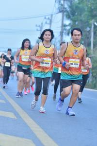 BIB: 11776, 10654
                            <button type="button" onclick="openModal(7859133)" class="btn btn-primary btn-sm float-right btn-popup" data-toggle="modal" data-target=".modal-high-quality">
                        <i class="fas fa-shopping-cart"></i> Add to Cart
                    </button>
                                            <button type="button" onclick="isThisMe(7859133, true)" class="btn btn-success btn-sm float-right btn-popup btn-isme hidden" data-toggle="tooltip" data-placement="bottom" title="นี่คือรูปของคุณใช่ไหม คลิกที่นี่เพื่อเอาเข้าอัลบั้ม">
                        <i class="fas fa-plus"></i> Add to album
                    </button>
                    <button type="button" onclick="isThisMe(7859133, false)" class="btn btn-warning btn-sm float-right btn-popup btn-isnotme hidden">
                        <i class="fas fa-ban"></i> Remove from album
                    </button>