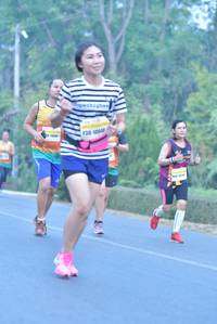 BIB: 10048, 1169
                            <button type="button" onclick="openModal(7832342)" class="btn btn-primary btn-sm float-right btn-popup" data-toggle="modal" data-target=".modal-high-quality">
                        <i class="fas fa-shopping-cart"></i> Add to Cart
                    </button>
                                            <button type="button" onclick="isThisMe(7832342, true)" class="btn btn-success btn-sm float-right btn-popup btn-isme hidden" data-toggle="tooltip" data-placement="bottom" title="นี่คือรูปของคุณใช่ไหม คลิกที่นี่เพื่อเอาเข้าอัลบั้ม">
                        <i class="fas fa-plus"></i> Add to album
                    </button>
                    <button type="button" onclick="isThisMe(7832342, false)" class="btn btn-warning btn-sm float-right btn-popup btn-isnotme hidden">
                        <i class="fas fa-ban"></i> Remove from album
                    </button>