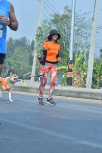 BIB: 
                            <button type="button" onclick="openModal(8450763)" class="btn btn-primary btn-sm float-right btn-popup" data-toggle="modal" data-target=".modal-high-quality">
                        <i class="fas fa-shopping-cart"></i> Add to Cart
                    </button>
                                            <button type="button" onclick="isThisMe(8450763, true)" class="btn btn-success btn-sm float-right btn-popup btn-isme hidden" data-toggle="tooltip" data-placement="bottom" title="นี่คือรูปของคุณใช่ไหม คลิกที่นี่เพื่อเอาเข้าอัลบั้ม">
                        <i class="fas fa-plus"></i> Add to album
                    </button>
                    <button type="button" onclick="isThisMe(8450763, false)" class="btn btn-warning btn-sm float-right btn-popup btn-isnotme hidden">
                        <i class="fas fa-ban"></i> Remove from album
                    </button>