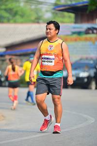 BIB: 42439
                            <button type="button" onclick="openModal(10386595)" class="btn btn-primary btn-sm float-right btn-popup" data-toggle="modal" data-target=".modal-high-quality">
                        <i class="fas fa-shopping-cart"></i> Add to Cart
                    </button>
                                            <button type="button" onclick="isThisMe(10386595, true)" class="btn btn-success btn-sm float-right btn-popup btn-isme hidden" data-toggle="tooltip" data-placement="bottom" title="นี่คือรูปของคุณใช่ไหม คลิกที่นี่เพื่อเอาเข้าอัลบั้ม">
                        <i class="fas fa-plus"></i> Add to album
                    </button>
                    <button type="button" onclick="isThisMe(10386595, false)" class="btn btn-warning btn-sm float-right btn-popup btn-isnotme hidden">
                        <i class="fas fa-ban"></i> Remove from album
                    </button>