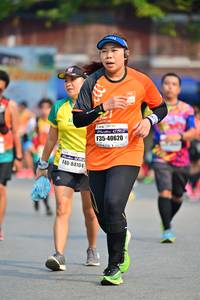 BIB: 40620, 84104
                            <button type="button" onclick="openModal(10385744)" class="btn btn-primary btn-sm float-right btn-popup" data-toggle="modal" data-target=".modal-high-quality">
                        <i class="fas fa-shopping-cart"></i> Add to Cart
                    </button>
                                            <button type="button" onclick="isThisMe(10385744, true)" class="btn btn-success btn-sm float-right btn-popup btn-isme hidden" data-toggle="tooltip" data-placement="bottom" title="นี่คือรูปของคุณใช่ไหม คลิกที่นี่เพื่อเอาเข้าอัลบั้ม">
                        <i class="fas fa-plus"></i> Add to album
                    </button>
                    <button type="button" onclick="isThisMe(10385744, false)" class="btn btn-warning btn-sm float-right btn-popup btn-isnotme hidden">
                        <i class="fas fa-ban"></i> Remove from album
                    </button>